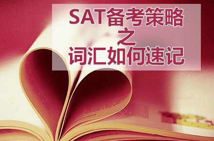 新SAT数学备考全攻略：中国考生常见误区解析