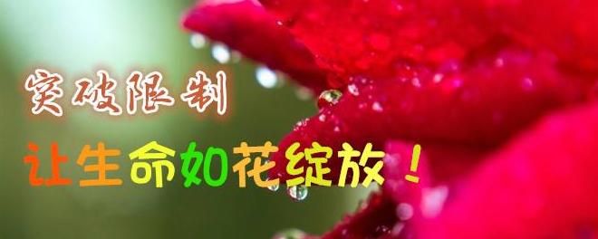 生命成长课程体系