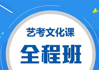 合肥艺考文化课冲刺指南
