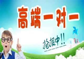 小学语文在线一对一辅导