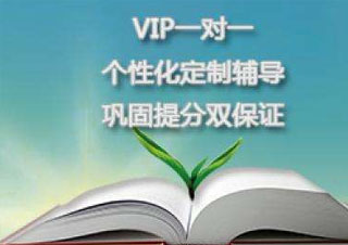 VIP課程