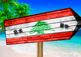 艺术生职场转型留学深度解析