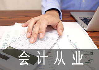 财会实务核心技能精解