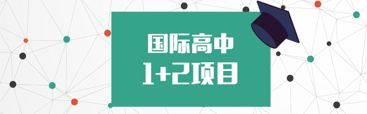 美国詹尼森公立高中12项目