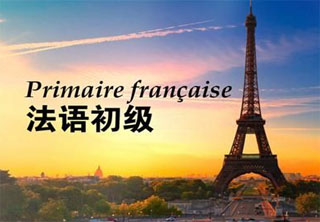 沉浸式法语课程体系解析