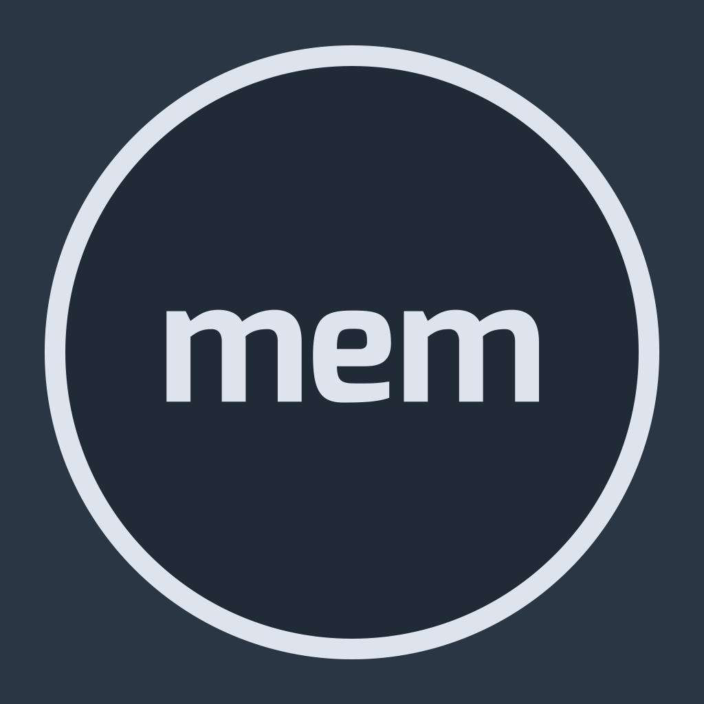 MEM项目培养体系