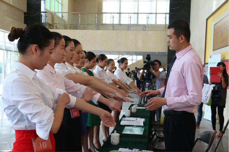 影视表演专业职业发展全景解析