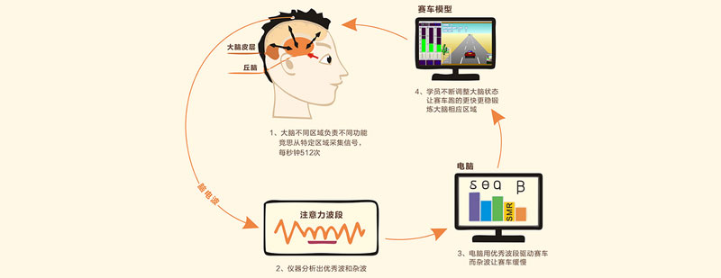 脑电生物反馈过程