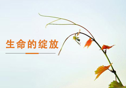 生命的绽放课程