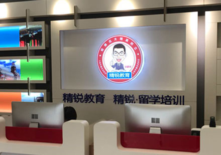 精英定制化留学辅导课程解析