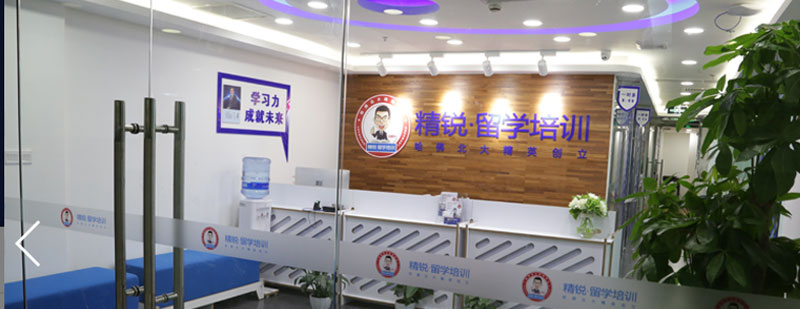 个性化留学辅导课程