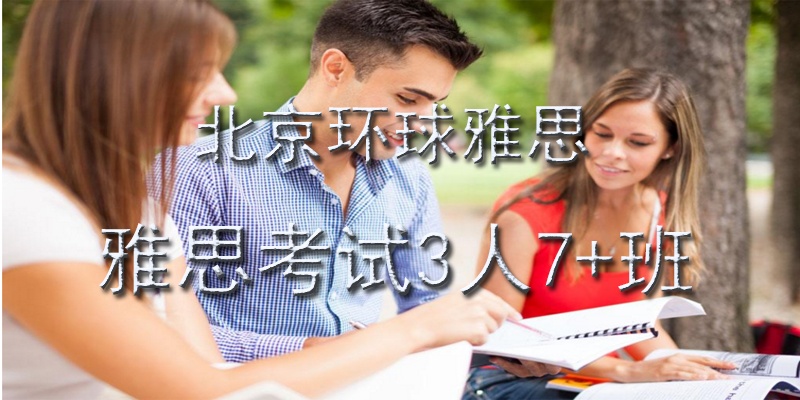 雅思小班教学场景