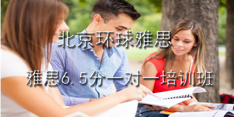 雅思一对一教学场景