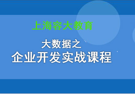 大數(shù)據(jù)之企業(yè)開發(fā)實戰(zhàn)課程