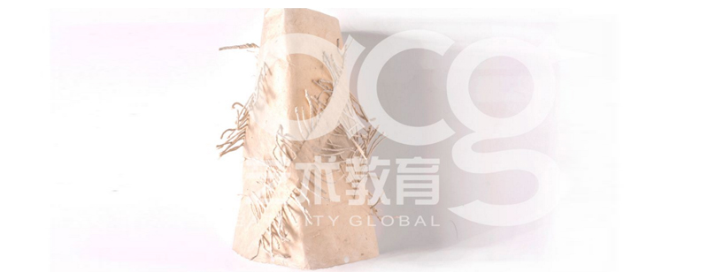 杭州ACG国际艺术教育培训学校