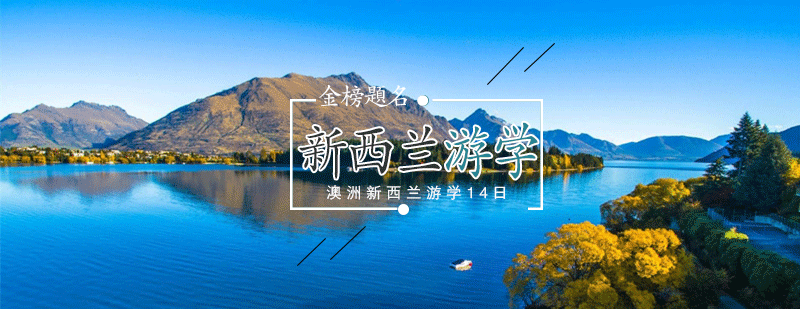 澳新亲子游学实景