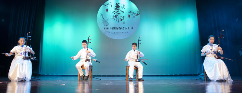 二胡演奏特寫