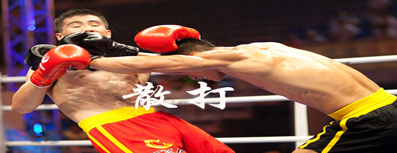 散打?qū)崙?zhàn)姿勢