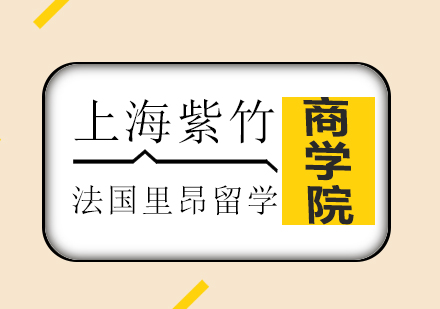 法国里昂商学院培训班