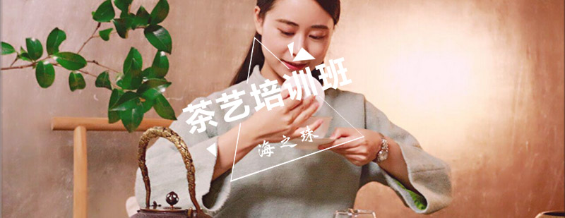 茶艺实操教学