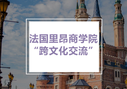 法国里昂商学院跨文化交流课程深度解析