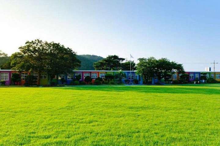 学校草坪