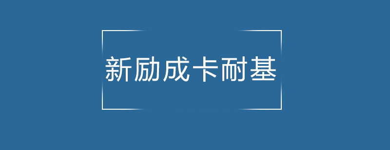 教学专家团队