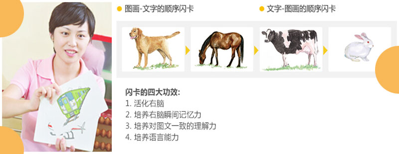 早教闪卡教具示例