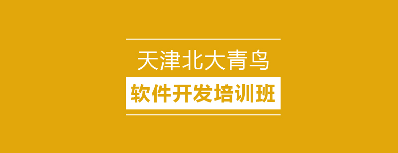 软件开发项目实战