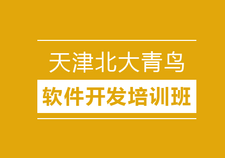 北大青鸟软件开发需要学什么