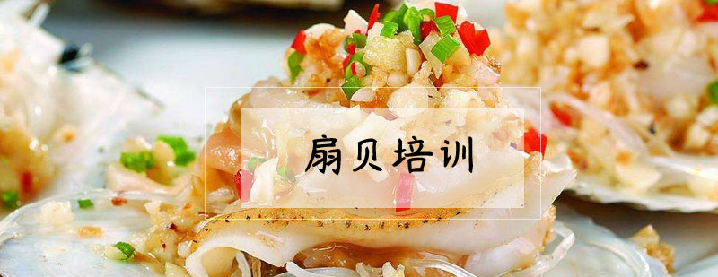 扇贝处理教学实拍
