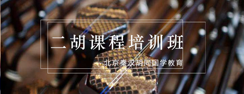 二胡课程教学现场