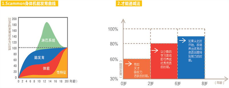 脑区功能示意图
