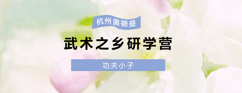 武术研学实践