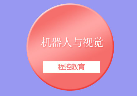 機(jī)器人與視覺