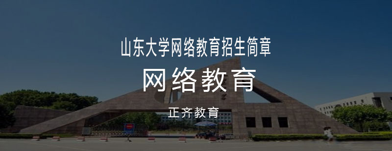 山大网络教育