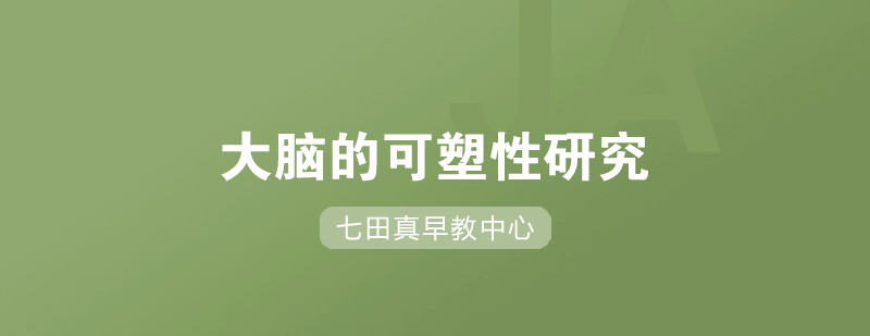 腦神經(jīng)發(fā)育曲線圖