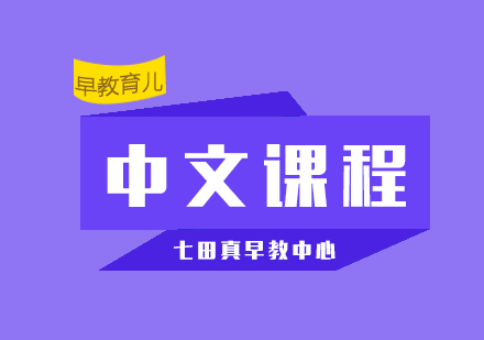 上海七田真中文启蒙课程体系深度解析
