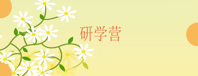 研学营团队活动