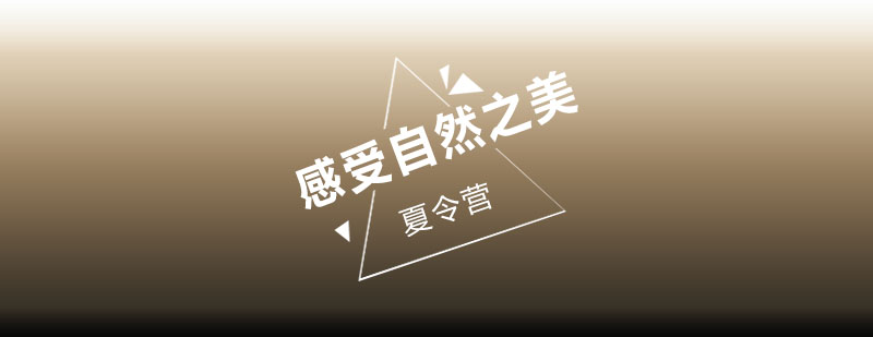云南研学营主视觉