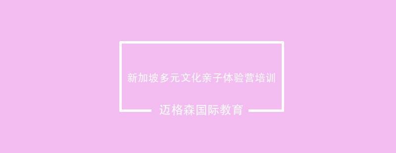 新加坡亲子活动实拍