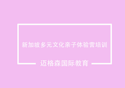 新加坡多元文化亲子体验营培训