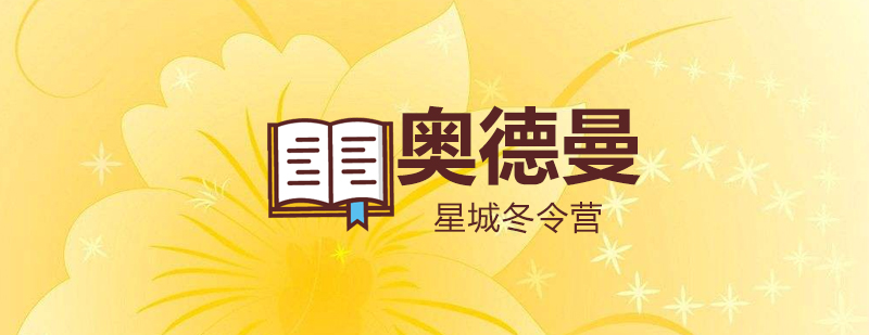 湘聚星城冬令营主视觉