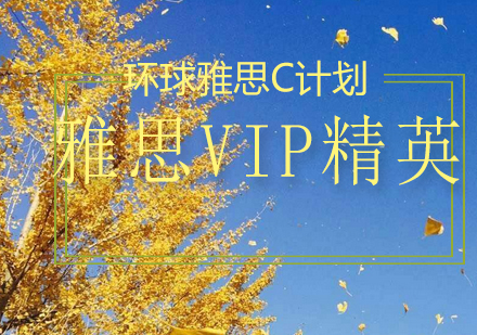 雅思VIP精英C计划