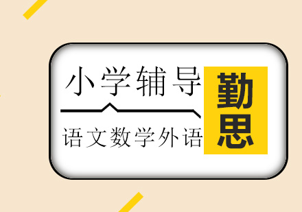 小学全科培训班