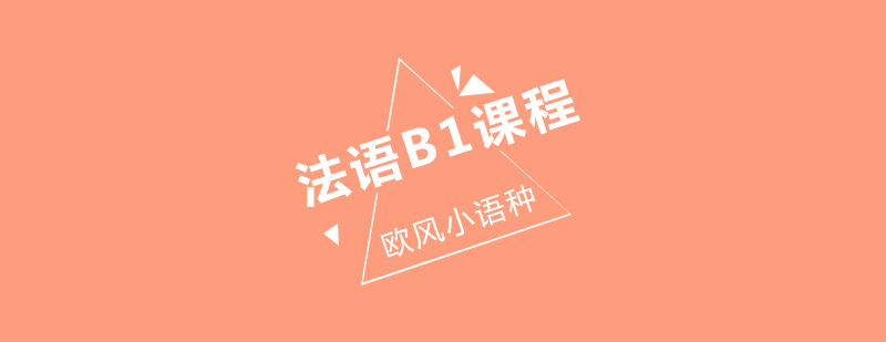 武汉法语B1大班课程教学场景