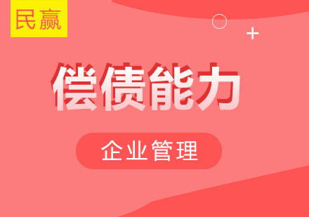 企业偿债能力核心指标解析与应用指南