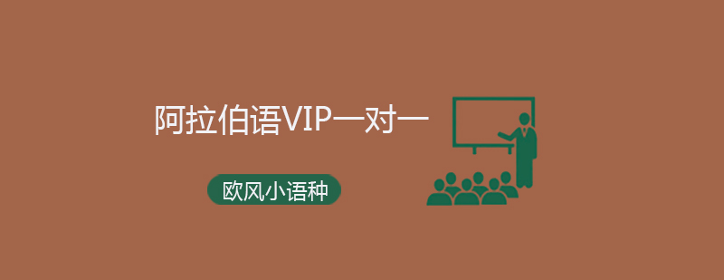阿拉伯语一对一教学场景