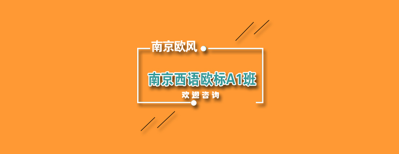 南京西语欧标A1班