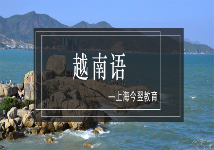 臺灣越南語教育合作深度解析